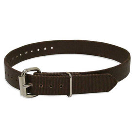 Buckingham Single Piece Climber Strap