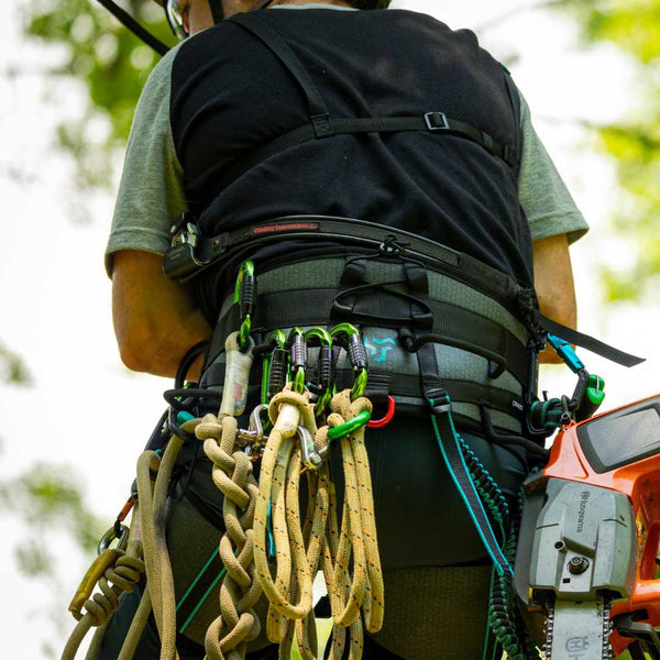 Notch Catalyst Harness in Use