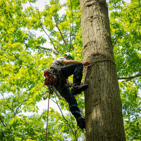 Notch Ergo Steel Climbers in Use