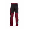 SIP Protection, Gecko Tree Climbing pant BURGUNDY RED static Back