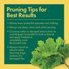 Treekote Tree Wound Dressing - Pruning Tips
