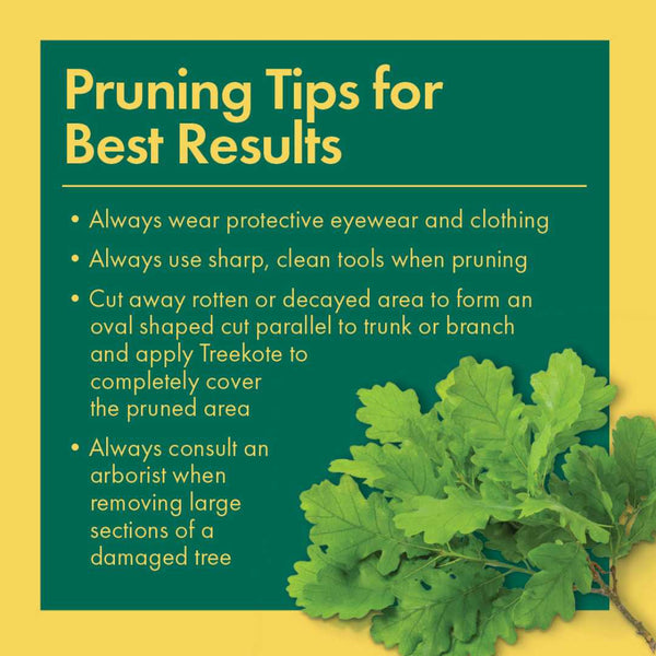 Treekote Tree Wound Dressing - Pruning Tips