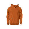 Arborwear Double Thick Pullover Sweatshirt burnt orange